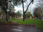 DSC00936