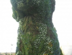 DSCN0036_1103
