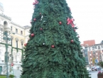 DSCN0085_1152