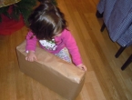 DSCN0455_1674