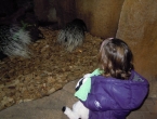 DSCN1086_2236