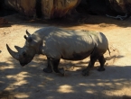 DSCN1094_2244