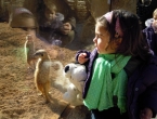 DSCN1111_2261