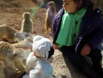 DSCN1113_2263