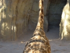 DSCN1119_2269