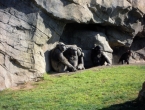 DSCN1142_2292