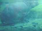 DSCN1153_2303
