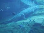 DSCN1155_2305
