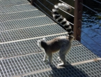 DSCN1169_2316