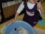 DSCN1233_2379
