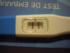 DSCN2348_3453