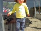 DSCN2453_3553