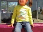 DSCN2456_3556
