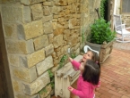 DSCN2542_3638
