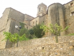 DSCN2565_3661