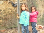 DSCN2574_3670