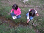 DSCN2639_3734