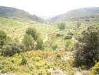 DSCN2656_3751