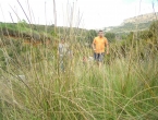 DSCN2658_3753