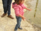 DSCN2709_3803