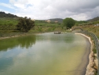 DSCN2714_3808