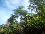 DSC01503
