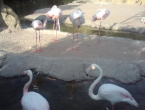Bioparc