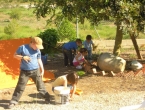 DSCN2742_3836