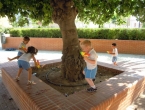 DSCN3025_4111