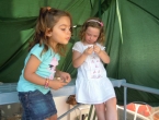 DSCN3052_4138
