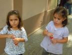 DSCN4276_5310
