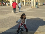 DSCN5050_6071