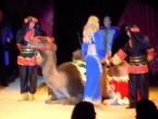 DSCN5068_6089