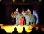 DSCN5089_6109