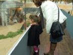DSCN5254_6270