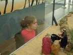 DSCN5256_6272