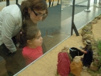 DSCN5257_6273