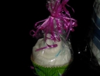 DSCN5344_6361
