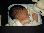 DSCN5391_6408