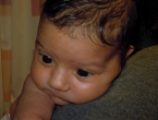 DSCN5394_6411