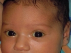 DSCN5420_6437