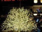 DSCN6056_7067