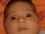 DSCN6075_7086