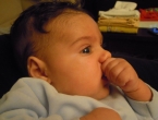 DSCN6186_6185