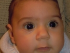 DSCN6536_7528
