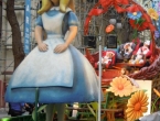DSCN6570_7562