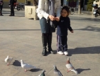 DSCN6629_7620