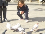 DSCN6630_7621