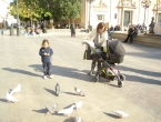 DSCN6636_7627