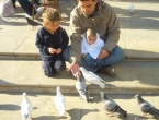 DSCN6639_7630